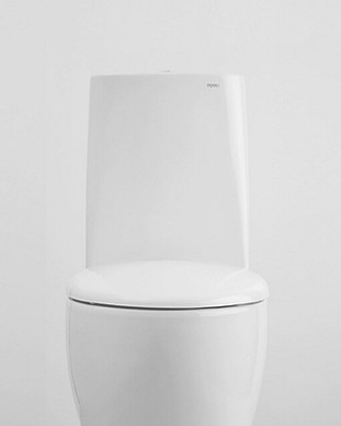 toilet-large.jpg